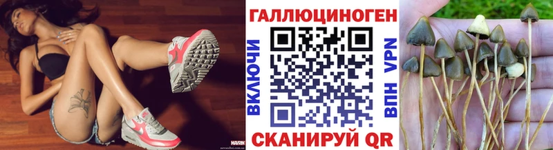 Галлюциногенные грибы MAGIC MUSHROOMS  Купить закладки  Петрозаводск 